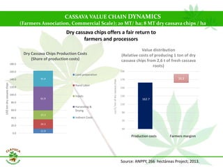 Why isn´t Colombia the LAC version  of Thailand for the cassava crop?
