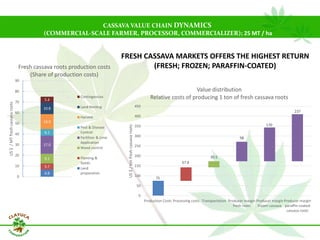 Why isn´t Colombia the LAC version  of Thailand for the cassava crop?