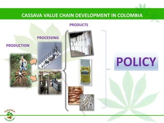 Why isn´t Colombia the LAC version  of Thailand for the cassava crop?