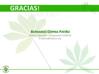 Why isn´t Colombia the LAC version  of Thailand for the cassava crop?
