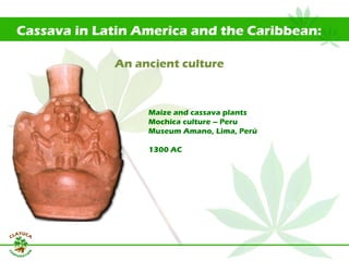 Why isn´t Colombia the LAC version  of Thailand for the cassava crop?