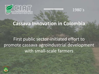Why isn´t Colombia the LAC version  of Thailand for the cassava crop?