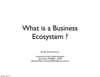 What is a Business
Ecosystem ?
By Morad O. Mouhsine
Université de Nice Sophia-Antipolis
Laboratoire GREDEG - CNRS
250 Rue Albert Einstein 06560Valbonne, France
1Monday, July 8, 13
 