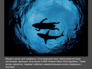 Модель доски для серфинга, отпугивающей акул электромагнитными 
сигналами, проходит испытания в МЗЗ Аливал-Шоул близ Дурбана. Такая 
доска, вероятно, поможет избегать нежелательных встреч серферов с 
акулами. 
 