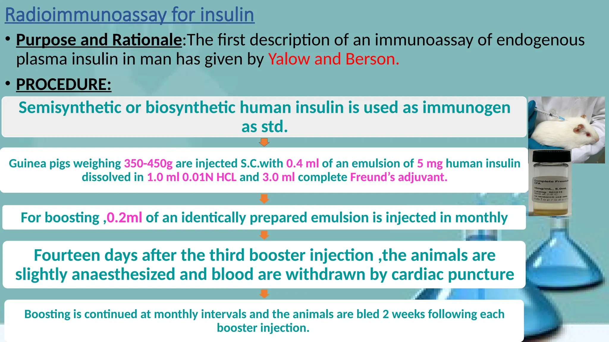 Radioimmunoassay for insulin
• Purpose and Rationale:The first description of an immunoassay of endogenous
plasma insulin in man has given by Yalow and Berson.
• PROCEDURE:
Semisynthetic or biosynthetic human insulin is used as immunogen
as std.
Guinea pigs weighing 350-450g are injected S.C.with 0.4 ml of an emulsion of 5 mg human insulin
dissolved in 1.0 ml 0.01N HCL and 3.0 ml complete Freund’s adjuvant.
For boosting ,0.2ml of an identically prepared emulsion is injected in monthly
Fourteen days after the third booster injection ,the animals are
slightly anaesthesized and blood are withdrawn by cardiac puncture
Boosting is continued at monthly intervals and the animals are bled 2 weeks following each
booster injection.
 