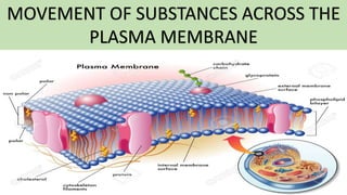 MOVEMENT OF SUBSTANCES ACROSS THE
PLASMA MEMBRANE
 