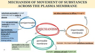 selectively permeable to small
molecules such as water &
glucose
MECHANISM OF MOVEMENT OF SUBSTANCES
ACROSS THE PLASMA MEMBRANE
MECHANISM
19
semipermeableDoes not permit large
molecule to move
through it
egg membrane,
plasma membrane of
living cells &
cellaphone
membrane of the
Visking tubing
permeable to the many
solvent (water) & solute
molecules
permeable
membrane
Example : cellulose cell wall of plant cell
impermeable
membrane
not allow substances to diffuse through it
Example : the impermeable polythene membrane
 