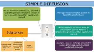 The bigger the concentration gradient the
faster the rate of diffusion
These substances will diffuse down the
concentration gradient if there is a
concentration gradient. (until an equilibrium is
reached)
Examples : gaseous exchange between the
alveolus & the blood capillaries, blood
capillaries & body cells
The net movement of molecules / ions from a
region of higher concentration to a region of
lower concentration until an equilibrium is
reached
Substances
Small non-polar
molecules ,eg:
O2 & CO2
Water
molecules
SIMPLE DIFFUSION
26
Lipid-soluble
substances,eg:
vitamins ADEK,
steroids &
alcohols
 