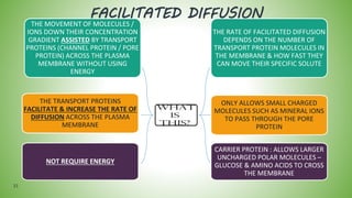 FACILITATED DIFFUSION
THE MOVEMENT OF MOLECULES /
IONS DOWN THEIR CONCENTRATION
GRADIENT ASSISTED BY TRANSPORT
PROTEINS (CHANNEL PROTEIN / PORE
PROTEIN) ACROSS THE PLASMA
MEMBRANE WITHOUT USING
ENERGY
THE TRANSPORT PROTEINS
FACILITATE & INCREASE THE RATE OF
DIFFUSION ACROSS THE PLASMA
MEMBRANE
NOT REQUIRE ENERGY
31
THE RATE OF FACILITATED DIFFUSION
DEPENDS ON THE NUMBER OF
TRANSPORT PROTEIN MOLECULES IN
THE MEMBRANE & HOW FAST THEY
CAN MOVE THEIR SPECIFIC SOLUTE
ONLY ALLOWS SMALL CHARGED
MOLECULES SUCH AS MINERAL IONS
TO PASS THROUGH THE PORE
PROTEIN
CARRIER PROTEIN : ALLOWS LARGER
UNCHARGED POLAR MOLECULES –
GLUCOSE & AMINO ACIDS TO CROSS
THE MEMBRANE
 