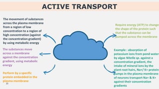 ACTIVE TRANSPORT
The movement of substances
across the plasma membrane
from a region of low
concentration to a region of
high concentration (against
the concentration gradient)
by using metabolic energy
The substances move
across a membrane
against the concentration
gradient, using metabolic
energy
Perform by a specific
protein embedded in the
plasma membrane
Require energy (ATP) to change
the shape of the protein such
that the substance can be
pumped across the membrane
Example : absorption of
potassium ions from pond water
by algae Nitella sp. against a
concentration gradient, the
intake of mineral ions by the
plant root hairs, Na+/ K+ protein
pumps in the plasma membrane
of neurons transport Na+ & K+
against their concentration
gradients
35
 
