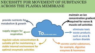 NECESSITY FOR MOVEMENT OF SUBSTANCES
ACROSS THE PLASMA MEMBRANE
To………
provide nutrients for
metabolism & growth
supply oxygen for
respiration
regulate solute concentration &
suitable pH for maintaining a
stable internal environment for
optimal enzymatic activities
maintain an ion
concentration gradient
required for nerve &
muscle cell activities
eliminate toxic
waste products
such as urea &
carbon dioxide
secrete useful substances,
for example, digestive
enzymes & hormones4
 