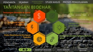 Comprehensive Overview of Biochar: Definition, Benefits, Risks, and ...