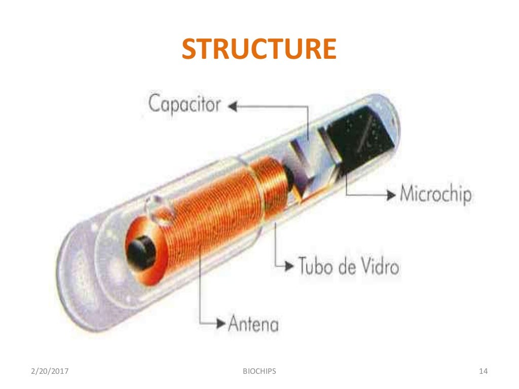 biochip presentation