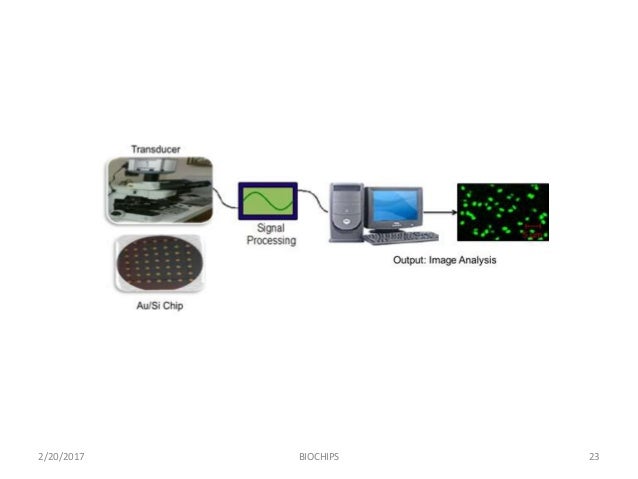 biochip presentation