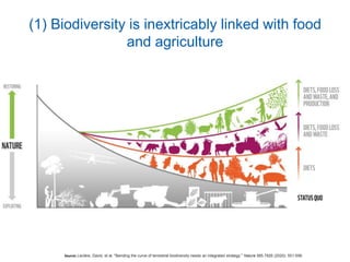 (1) Biodiversity is inextricably linked with food
and agriculture
Source: Leclère, David, et al. "Bending the curve of ter...