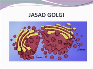 Presentation biologi (sel haiwan dan tumbuhan)