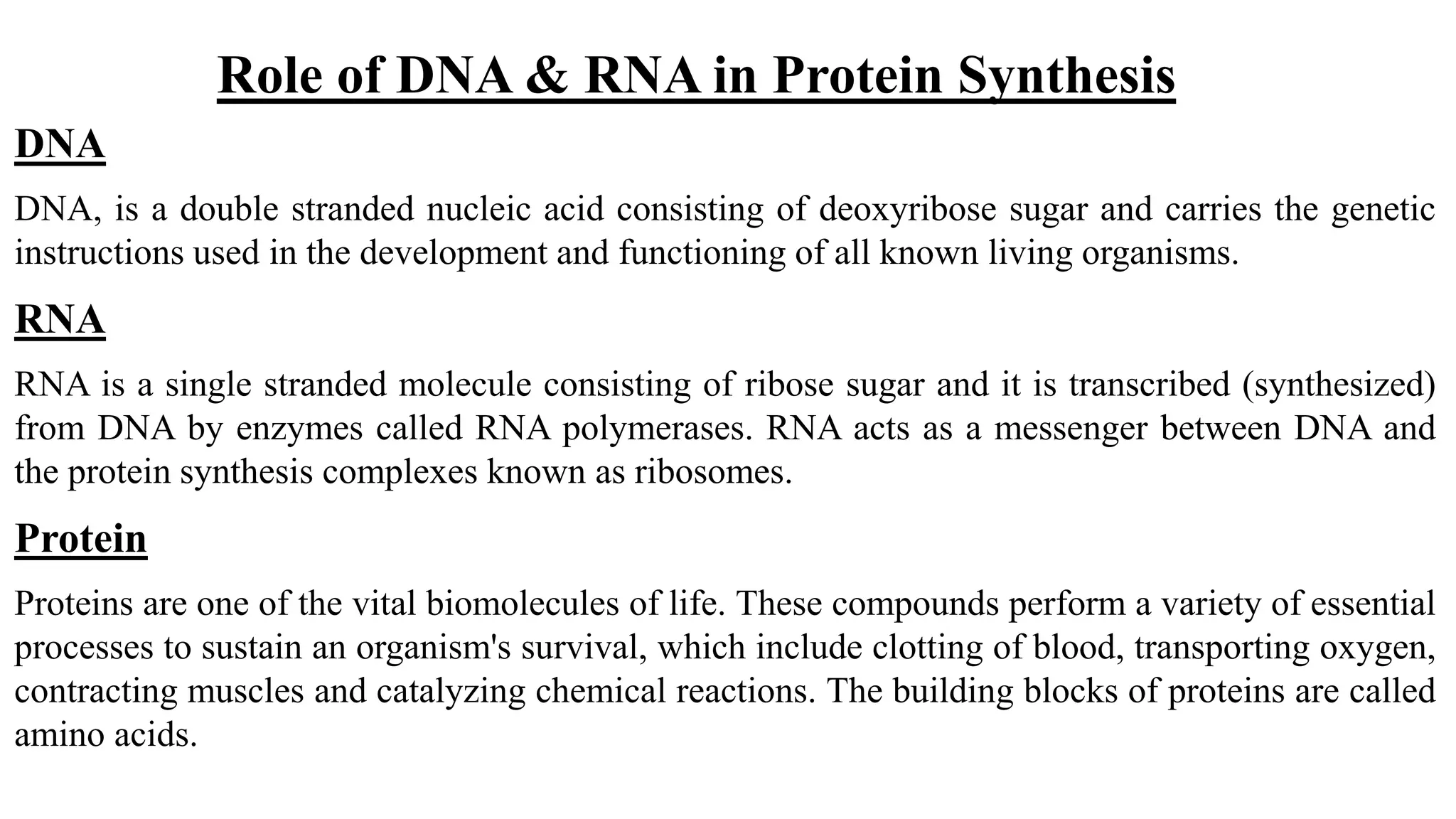 Role of DNA and A in Protein synthesis | PPTX