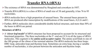 Role of DNA and A in Protein synthesis | PPTX