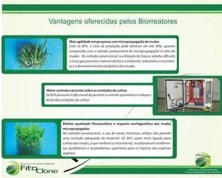 Vantagens oferecidas pelos Biorreatores
 