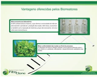 Vantagens oferecidas pelos Biorreatores
 
