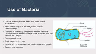 Use of Bacteria
• Can be used to produce foods and other useful
substances.
• Most common type of microorganism used in
biotechnology
• Capable of producing complex molecules Example:
certain bacteria added to milk produce enzymes that turn
the milk into yoghurt
• Same genetic code
• Rapid reproduction rate
• No ethical concerns over their manipulation and growth
• Presence of plasmids
 