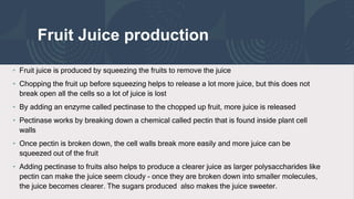 Fruit Juice production
• Fruit juice is produced by squeezing the fruits to remove the juice
• Chopping the fruit up before squeezing helps to release a lot more juice, but this does not
break open all the cells so a lot of juice is lost
• By adding an enzyme called pectinase to the chopped up fruit, more juice is released
• Pectinase works by breaking down a chemical called pectin that is found inside plant cell
walls
• Once pectin is broken down, the cell walls break more easily and more juice can be
squeezed out of the fruit
• Adding pectinase to fruits also helps to produce a clearer juice as larger polysaccharides like
pectin can make the juice seem cloudy – once they are broken down into smaller molecules,
the juice becomes clearer. The sugars produced also makes the juice sweeter.
 