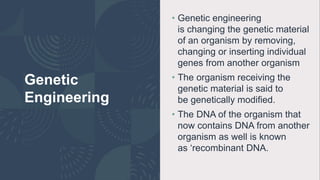 Genetic
Engineering
• Genetic engineering
is changing the genetic material
of an organism by removing,
changing or inserting individual
genes from another organism
• The organism receiving the
genetic material is said to
be genetically modified.
• The DNA of the organism that
now contains DNA from another
organism as well is known
as ‘recombinant DNA.
 