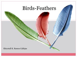 Birds-Feathers




Khrystall K. Ramos Callejas
 