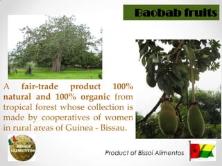 Baobabfruits A fair-trade product 100% natural and 100% organic from tropical forest whose collection is made by cooperatives of women in rural areas of Guinea - Bissau. Product of BissoiAlimentos 