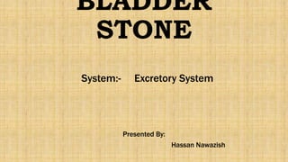 BLADDER
STONE
System:- Excretory System
Presented By:
Hassan Nawazish
 