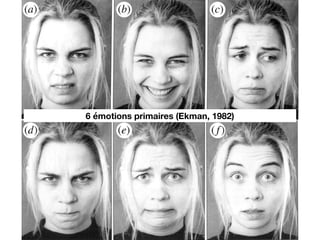 6 émotions primaires (Ekman, 1982)
 