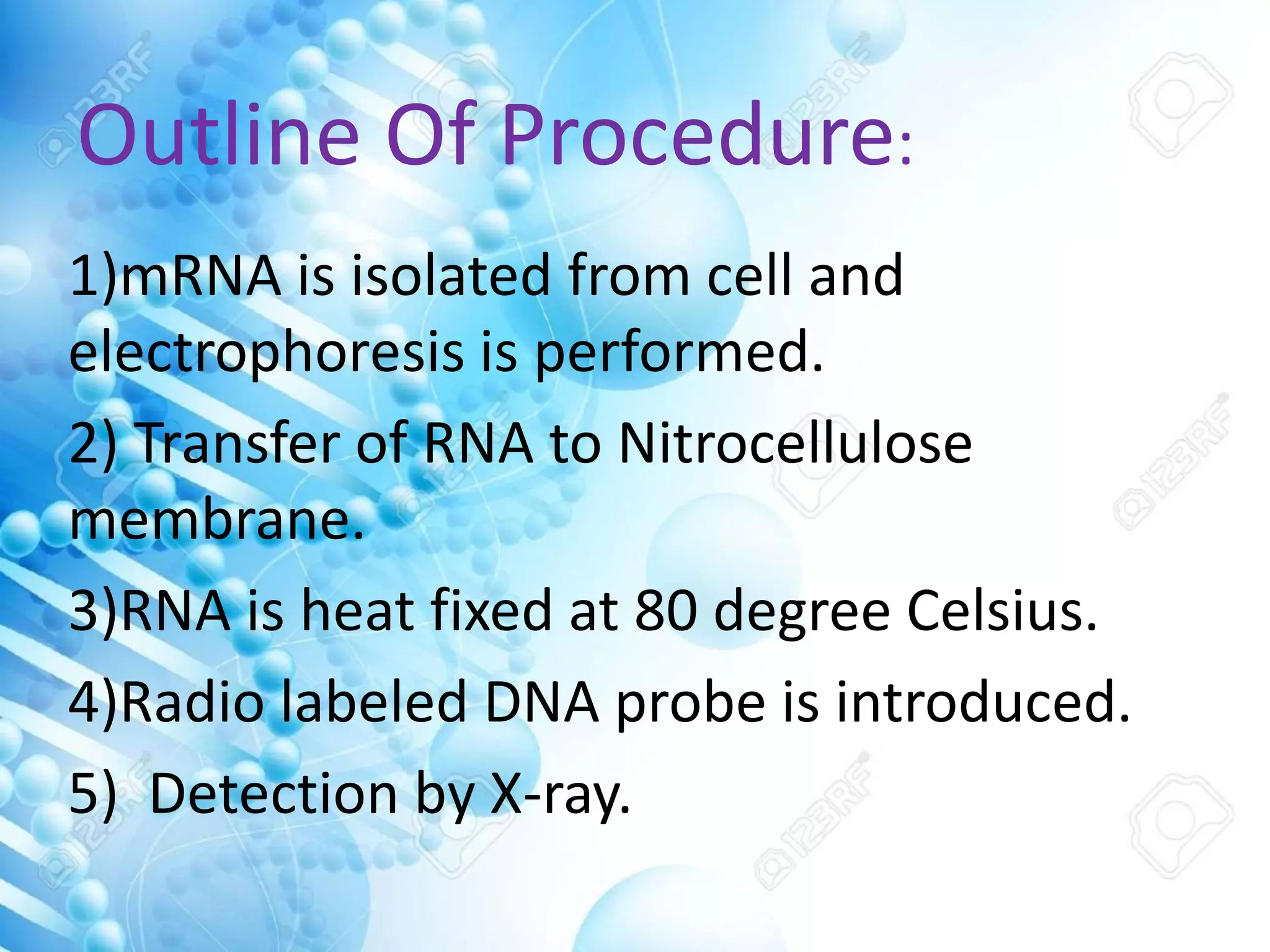 Outline Of Procedure:
1)mRNA is isolated from cell and
electrophoresis is performed.
2) Transfer of RNA to Nitrocellulose
membrane.
3)RNA is heat fixed at 80 degree Celsius.
4)Radio labeled DNA probe is introduced.
5) Detection by X-ray.
 