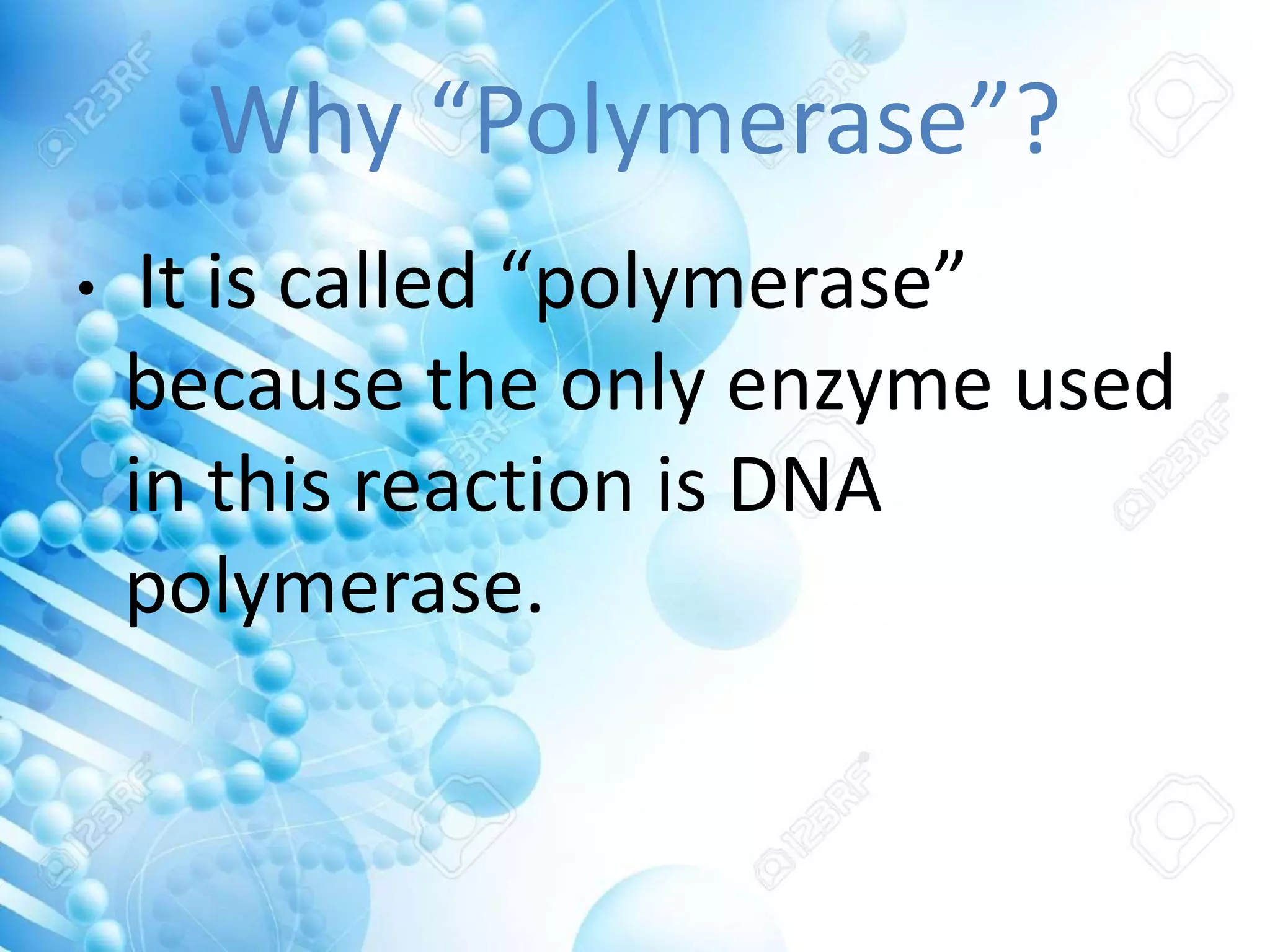 Why “Polymerase”?
• It is called “polymerase”
because the only enzyme used
in this reaction is DNA
polymerase.
 