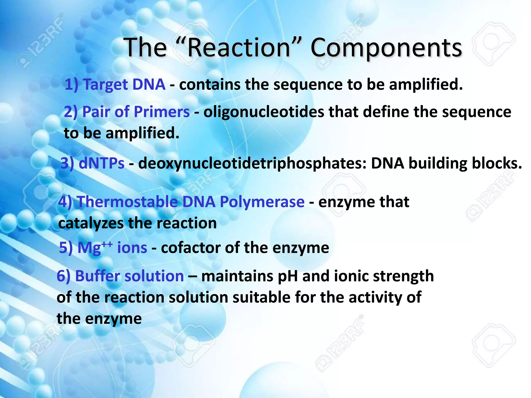 The “Reaction” Components
1) Target DNA - contains the sequence to be amplified.
2) Pair of Primers - oligonucleotides that define the sequence
to be amplified.
3) dNTPs - deoxynucleotidetriphosphates: DNA building blocks.
4) Thermostable DNA Polymerase - enzyme that
catalyzes the reaction
5) Mg++ ions - cofactor of the enzyme
6) Buffer solution – maintains pH and ionic strength
of the reaction solution suitable for the activity of
the enzyme
 