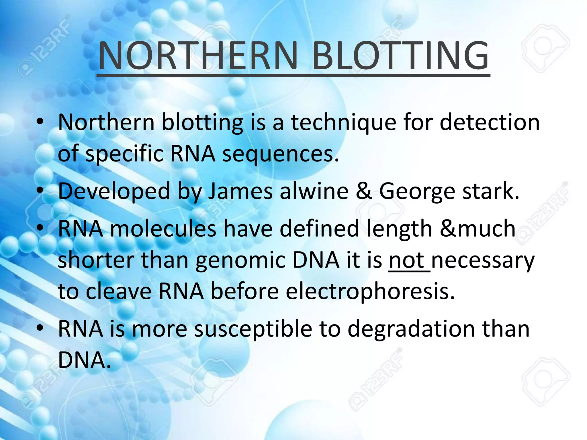 NORTHERN BLOTTING
• Northern blotting is a technique for detection
of specific RNA sequences.
• Developed by James alwine & George stark.
• RNA molecules have defined length &much
shorter than genomic DNA it is not necessary
to cleave RNA before electrophoresis.
• RNA is more susceptible to degradation than
DNA.
 
