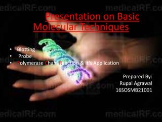 Presentation on Basic
Molecular Techniques
• Blotting
• Probe
• Polymerase Chain Reaction & It’s Application
Prepared By:
Rupal Agrawal
16SOSMB21001
 