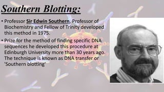 Presentation blotting techniques | PPTX