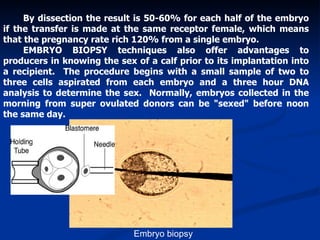 Dissect Embryo IMPACT OF BIOTECHNOLOGY ON ANIMAL BREEDING AND GENETIC PROGRESS | PPT