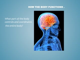 On Body Controls Presentation blueprint wellness | PPTX