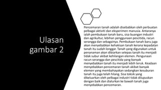 Pencemaran Alam Sekitar