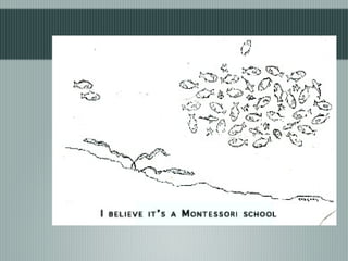 Presentation boards2