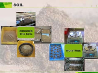 SOIL
CRUSHED
THE SOIL
MOISTURE
 
