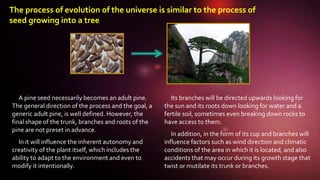 Indeterminism and Determinism book 1 chap 4 | PPTX