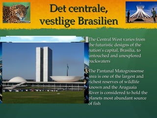 Det centrale,Det centrale,
vestlige Brasilienvestlige Brasilien
 The Central West varies fromThe Central West varies from
the futuristic designs of thethe futuristic designs of the
nation’s capital, Brasilia, tonation’s capital, Brasilia, to
untouched and unexploreduntouched and unexplored
backwatersbackwaters
 The Pantanal MatogrossenseThe Pantanal Matogrossense
area is one of the largest andarea is one of the largest and
richest reserves of wildliferichest reserves of wildlife
known and the Araguaiaknown and the Araguaia
River is considered to hold theRiver is considered to hold the
planets most abundant sourceplanets most abundant source
of fishof fish
 