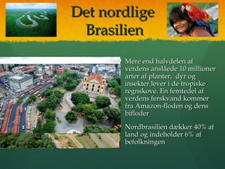 Det nordligeDet nordlige
BrasilienBrasilien
 Mere end halvdelenMere end halvdelen afaf
verdens anslåede 10 millionerverdens anslåede 10 millioner
arter af planter, dyr ogarter af planter, dyr og
insekter lever i de tropiskeinsekter lever i de tropiske
regnskove. En femtedel afregnskove. En femtedel af
verdens ferskvand kommerverdens ferskvand kommer
fra Amazon-floden og densfra Amazon-floden og dens
bifloderbifloder
 Nordbrasilien dækker 40% afNordbrasilien dækker 40% af
land og indeholder 6% afland og indeholder 6% af
befolkningenbefolkningen
 