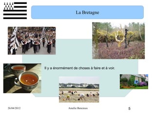 La Bretagne




             Il y a énormément de choses à faire et à voir.




26/04/2012                  Amélie Bencteux                   5
 