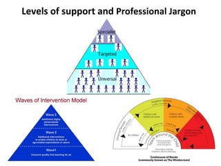 Levels of support and Professional Jargon
 