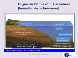 Origine du Pétrole et du Gaz naturel
                 (formation de roches-mères)



                   Forêts inondées                                                 Lacs ou mer

Enfouissement et dégradation des
                                                                                    plancton
  végétaux dans des marécages
             Compaction et altération
                   chimique                                                              Plancton mort coule

                                                                                     Boues riches en
                                                                                     matière organique

            Un profond enfouissement génère du                                   L’enfouissement génère du

                charbon et du gaz                                                Pétrole et du gaz


                                   Gaz de schiste, Institut Montaigne le 14 01
                                                       2013
 