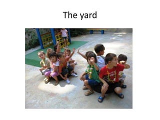 The yard
 