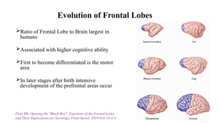 Presentation bv FTD important topic of neurollogy | PPTX